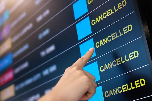 cancellazione e 231